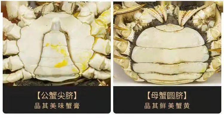 螃蟹这4个部位最脏,吃之前一定要扔掉