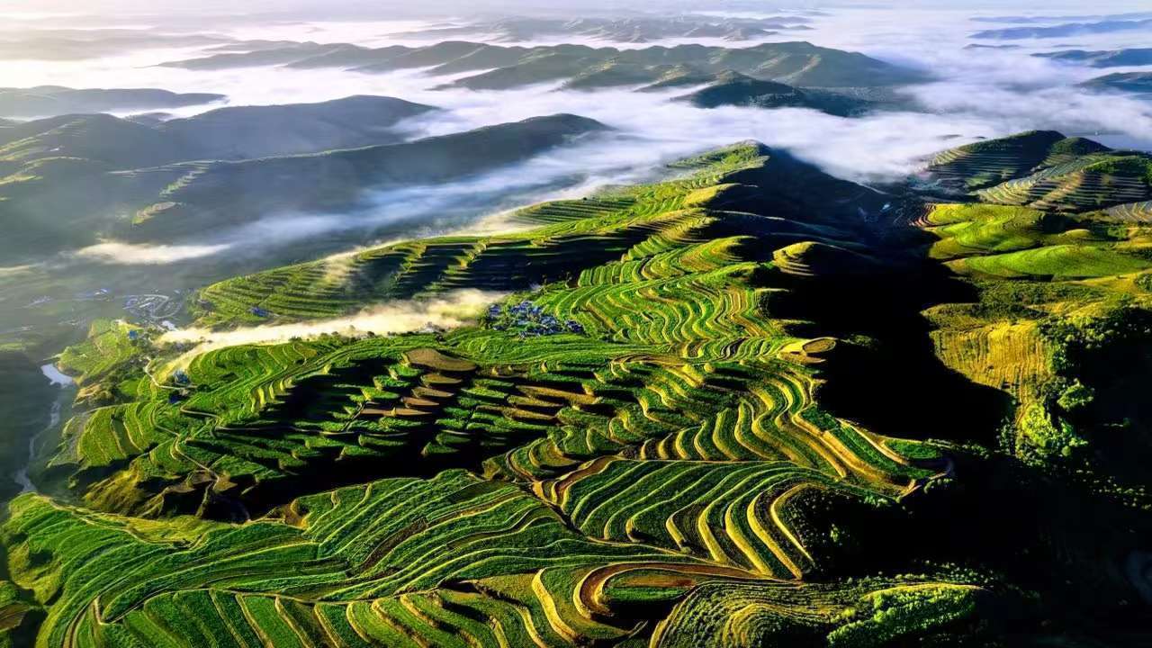 宁夏西吉:从美丽梯田看山乡巨变_摄影_全国_马铃薯
