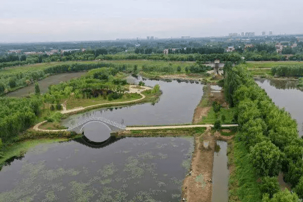 描繪黃河生態新畫卷(一):滔滔黃河水 潤澤一座城_溼地_建設_水質