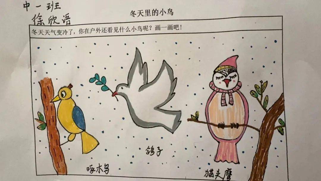孩子们和爸爸妈妈一起到户外寻找,并完成《冬天里的小鸟》调查表.