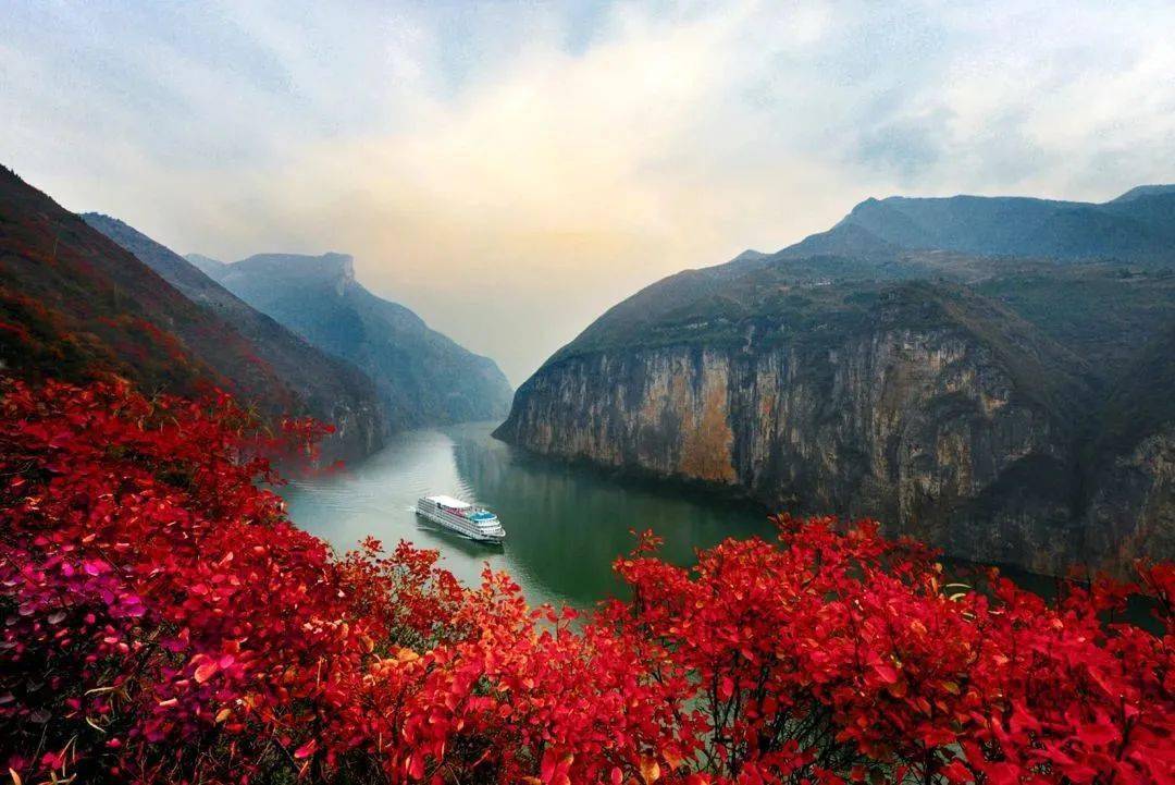 美丽重庆送你一份重庆赏彩叶地图_红叶_美景_三峡
