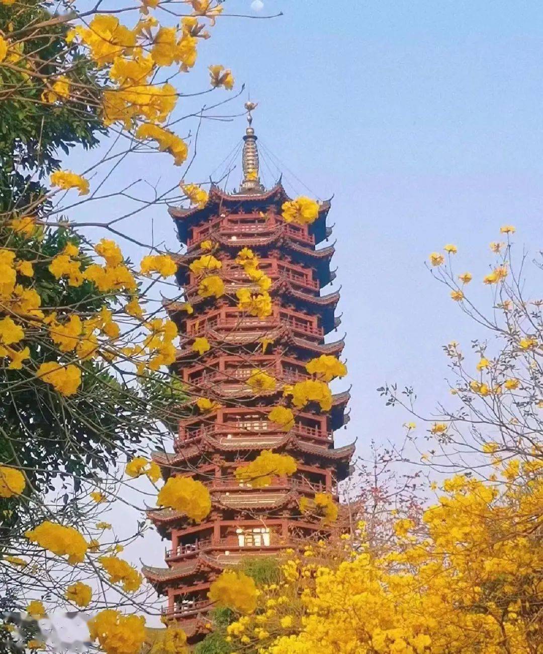 凌云塔no6点击地图向右转