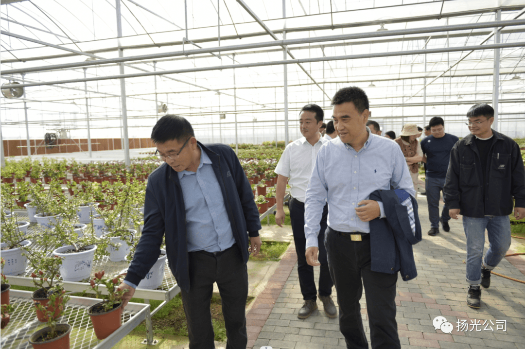 万名职工欢乐行 | 到罗田来一场慢时光之旅_活动_农业_胜利镇