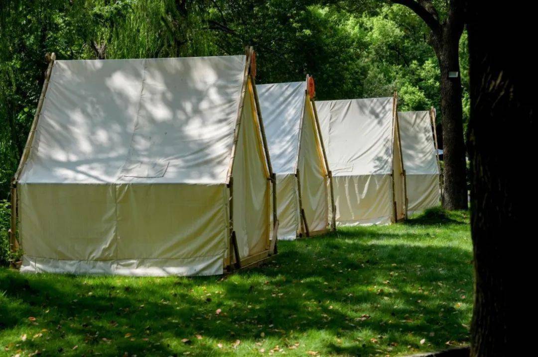 车于"十里洋场"举办的一场文化交流会一起来看看吧 ~greeting to all