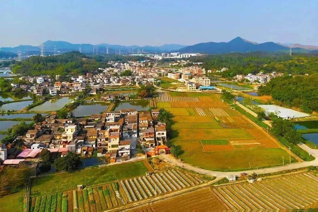 江门鹤山共和镇图片