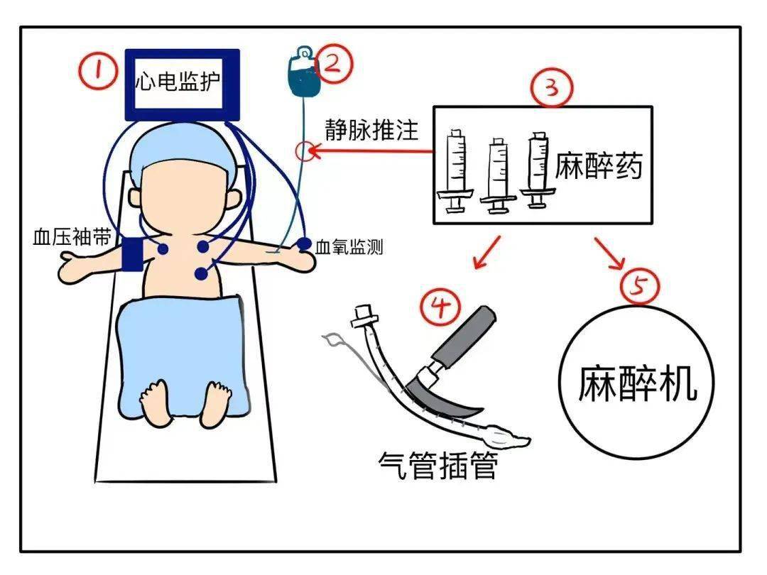 麻醉小课堂开课啦