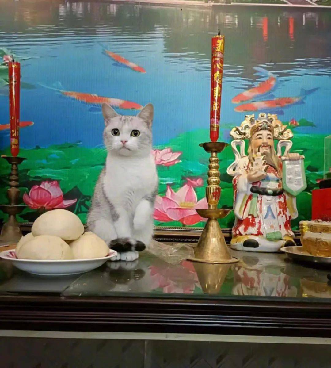 点进来,随机拉高一位潮汕妈妈的血压!_十二生肖_网络_内容