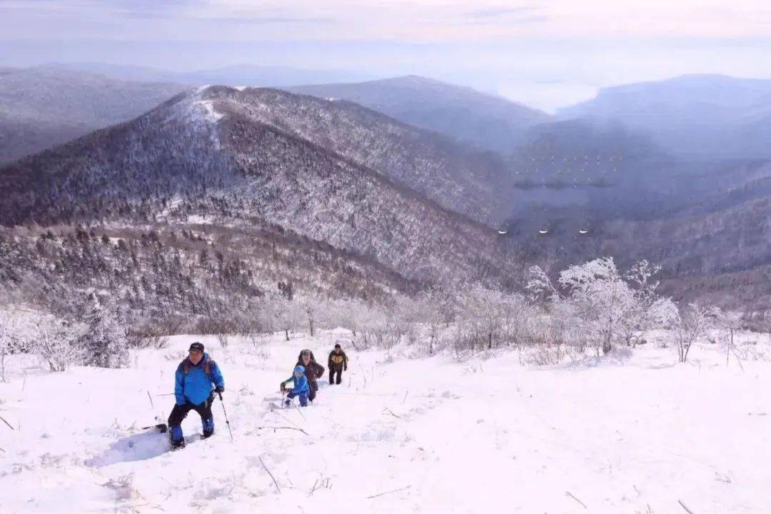 當白雪覆蓋大地,老白山變成了冰雪童話世界,藍天如碧水,山巒若荷葉