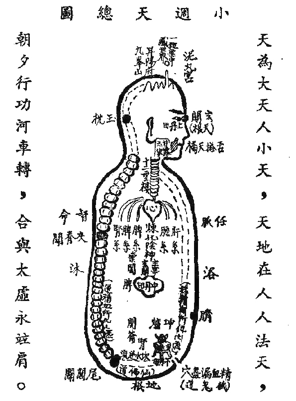 大周天 全身图片