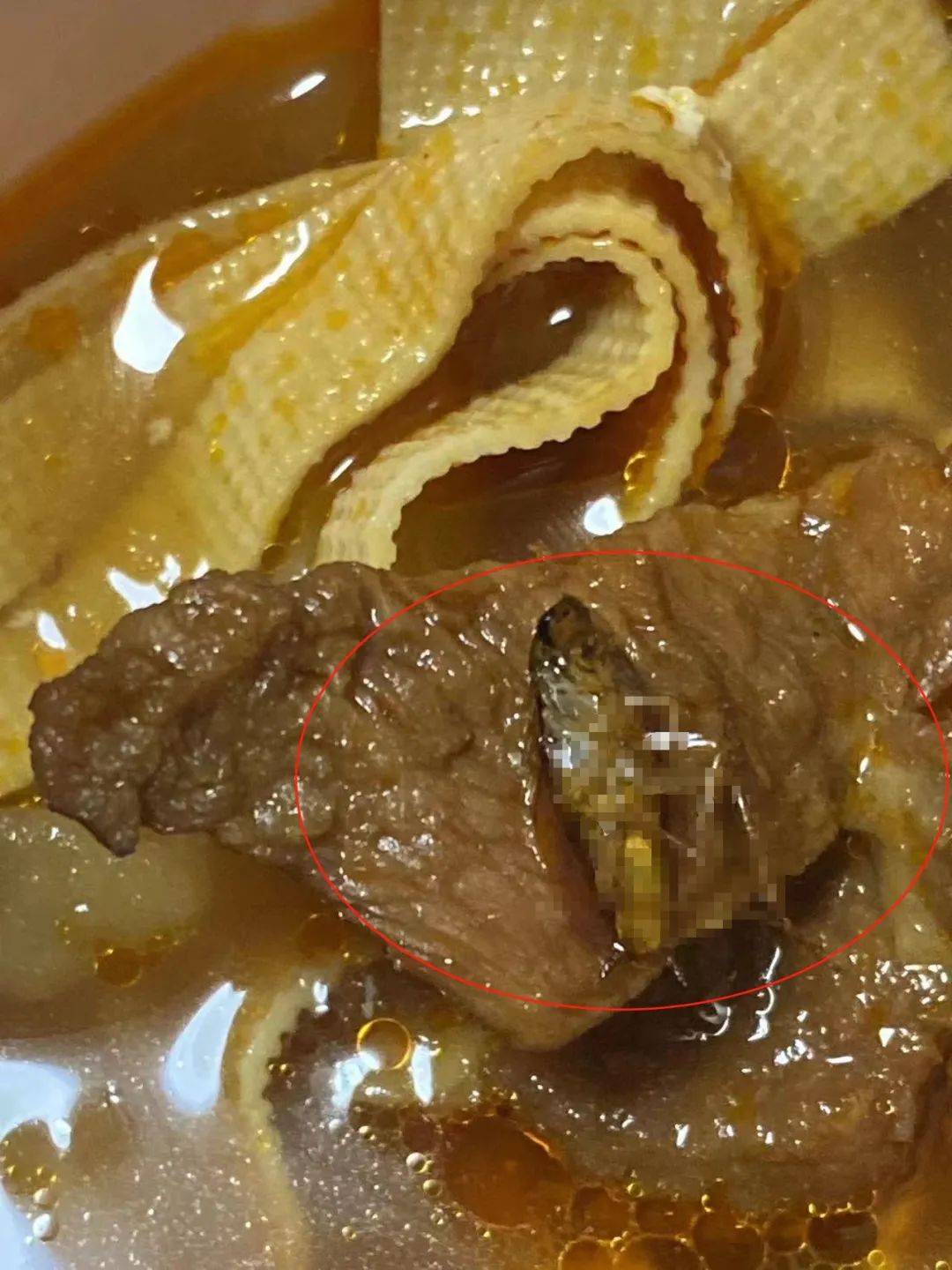 看着都恶心,保定一市民在外卖中吃出了整只蟑螂