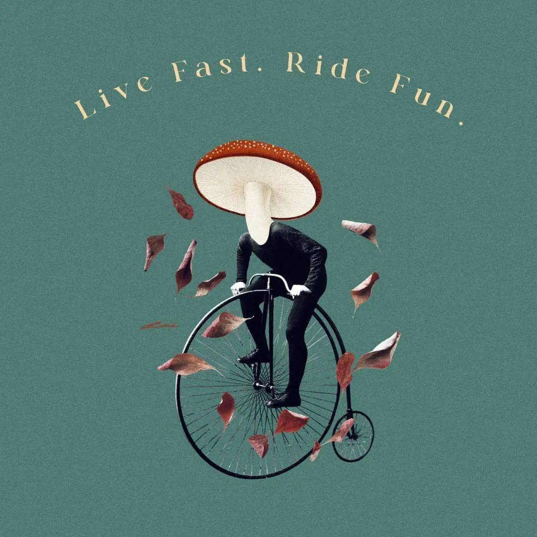 这种拼贴海报,风格很独特!_作品_文章_lei