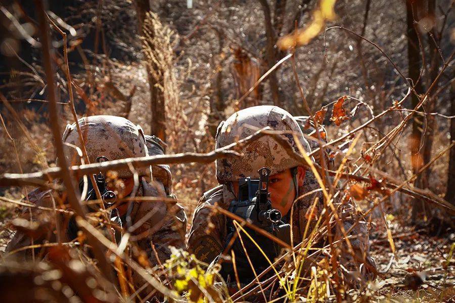 仔细看荒漠迷彩和野外丛林的组合_侦察_阵地_作战能力