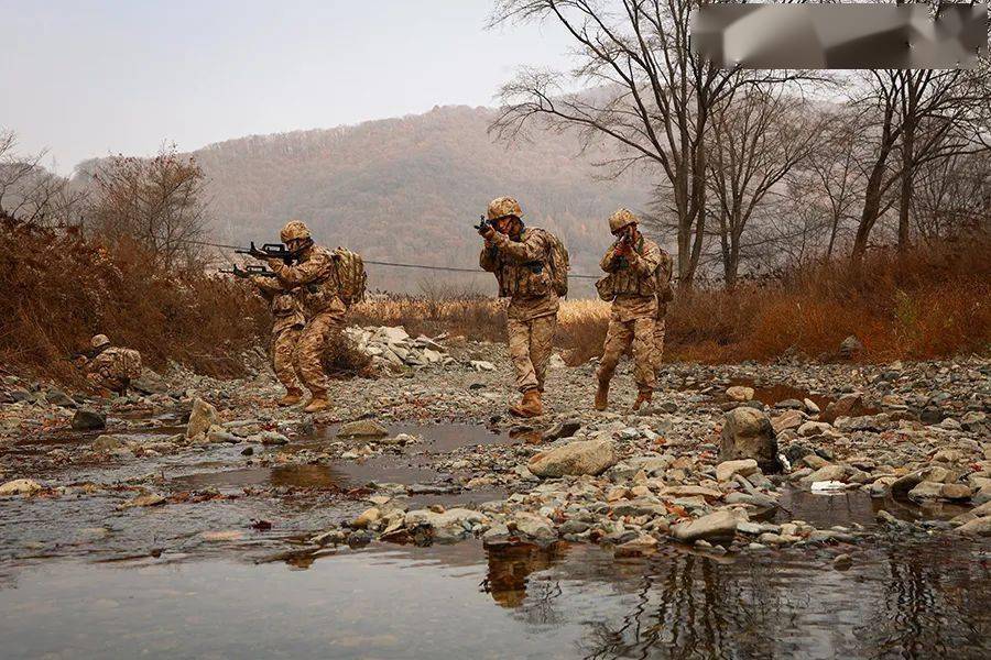 仔细看荒漠迷彩和野外丛林的组合_侦察_阵地_作战能力
