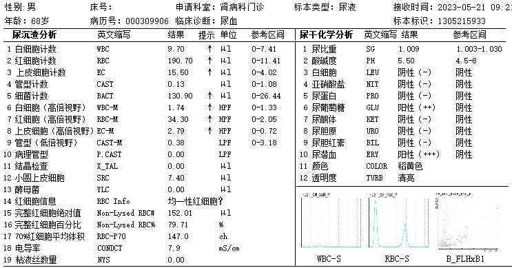 尿沉渣报告单图片