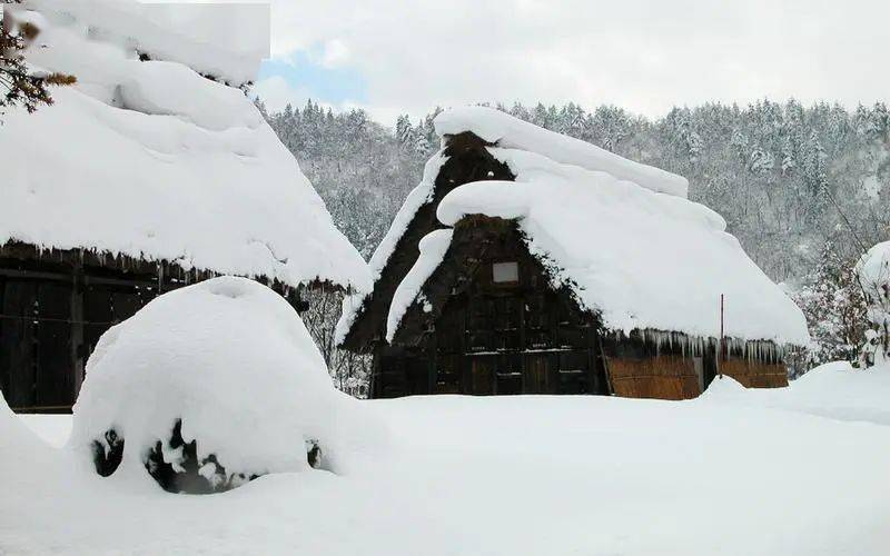 附積雪深度專題_斗篷_雪花_蓑衣