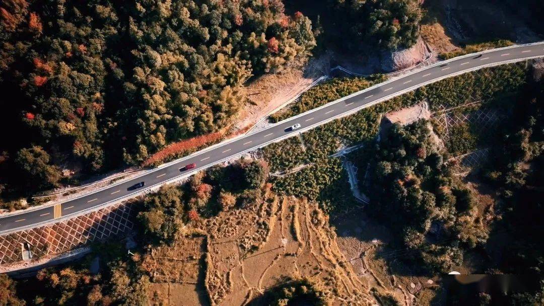 美的风景一路穿越山乡秘境美翻了"矾藻公路"苍南这条绝美宝藏公路