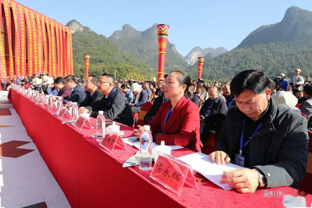 桂林市其他民族乡的领导以及大境瑶族乡周边乡镇领导,灵川县四家班子