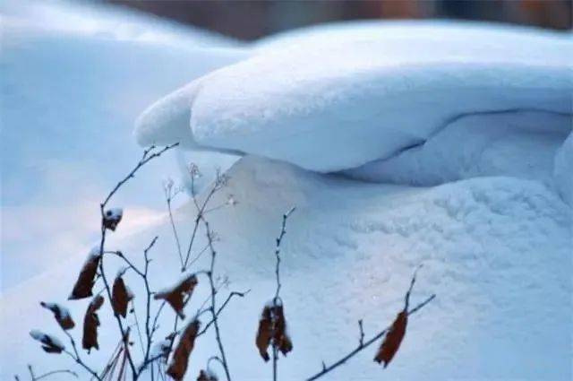 文兰琴:瑞雪_平台_世界_雪花