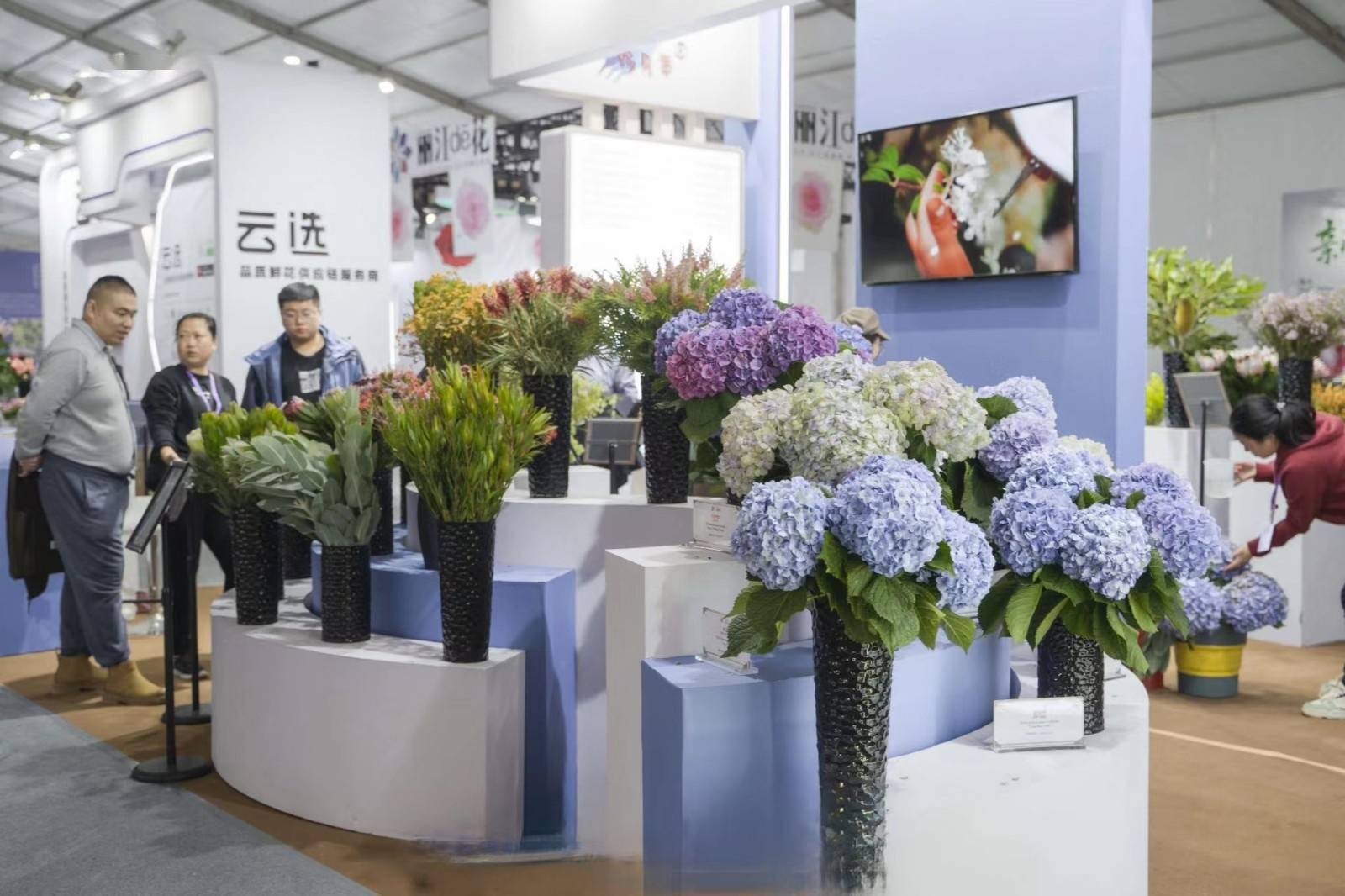 以花为媒 昆明斗南花卉展持续催热浪漫"花经济"_交易_全国_服务