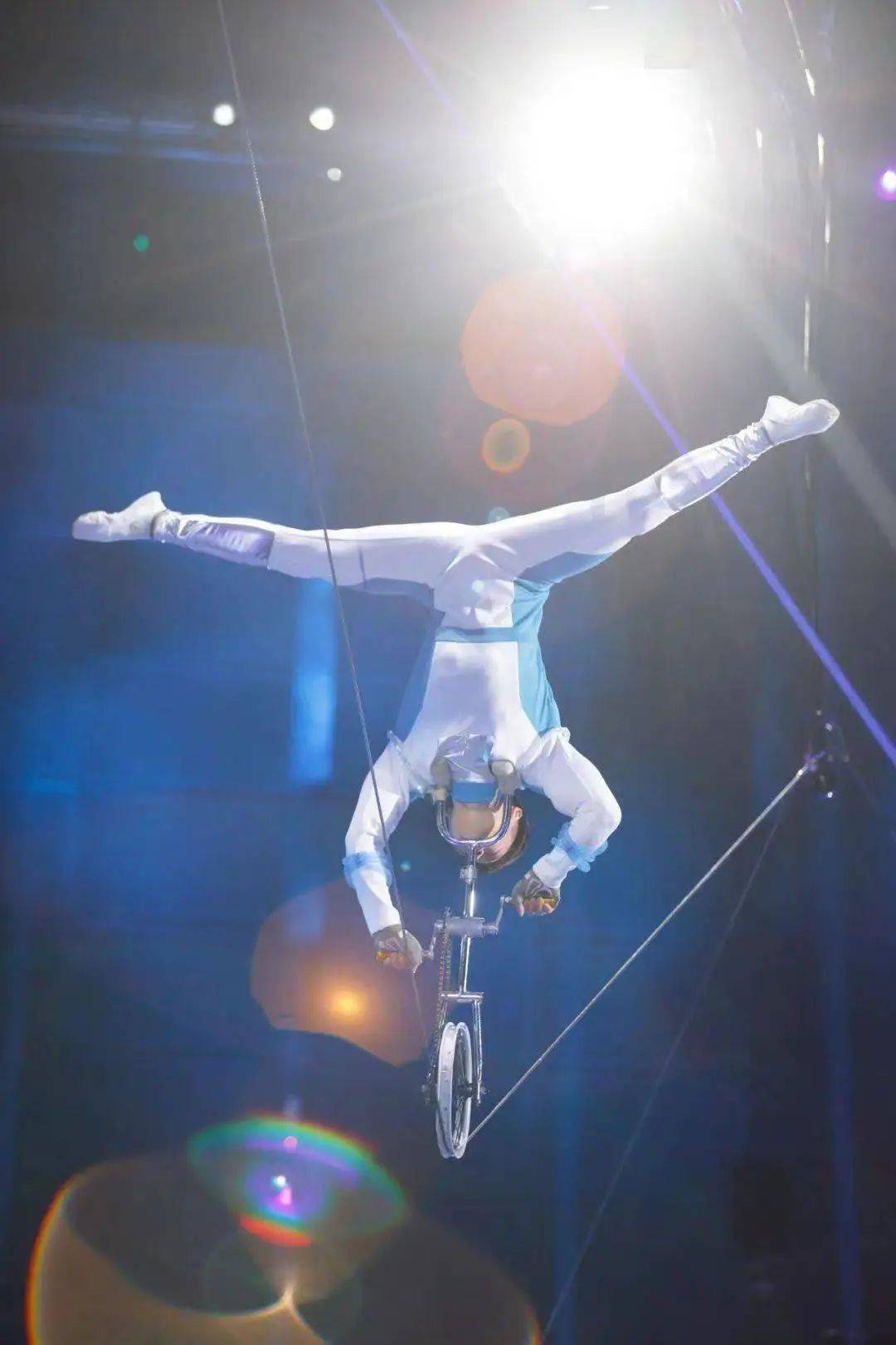 杂技_节目_艺术