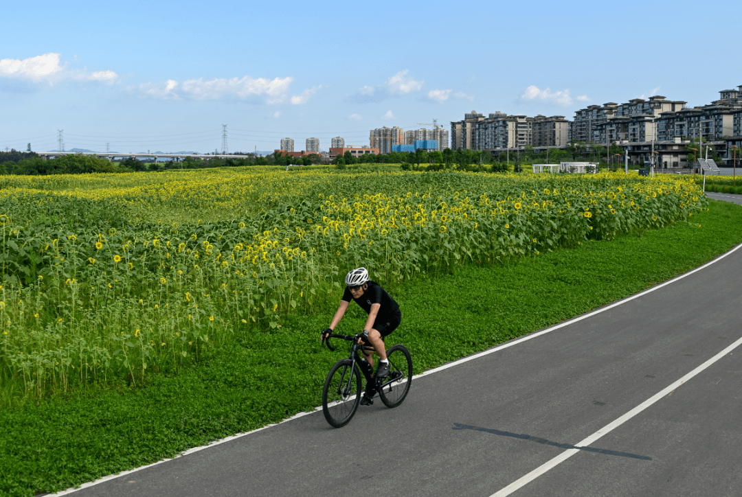 14个志愿服务站上线!环城绿道骑行攻略,请收藏