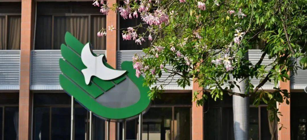 华南师范大学附属中学2023招聘编制教师公告_广东省_金牌_国际