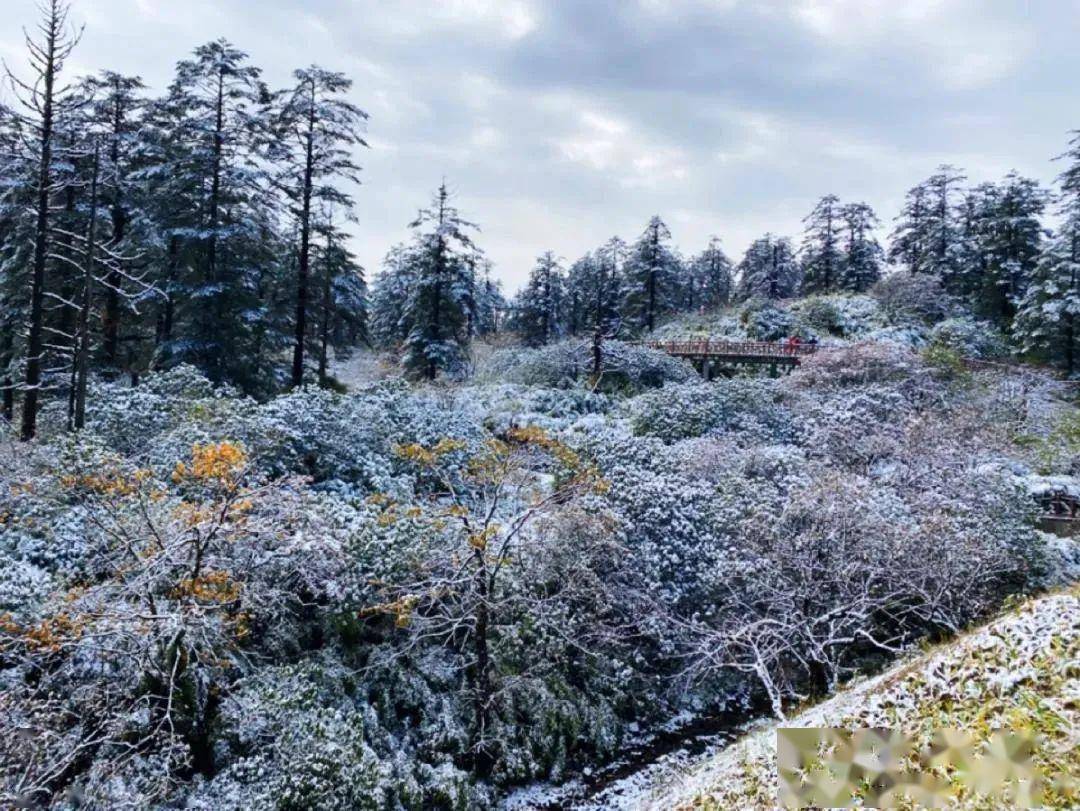 丛林街-西岭雪山(全程约110km,预计用时2h)门票:门票 鸳鸯池索道120元