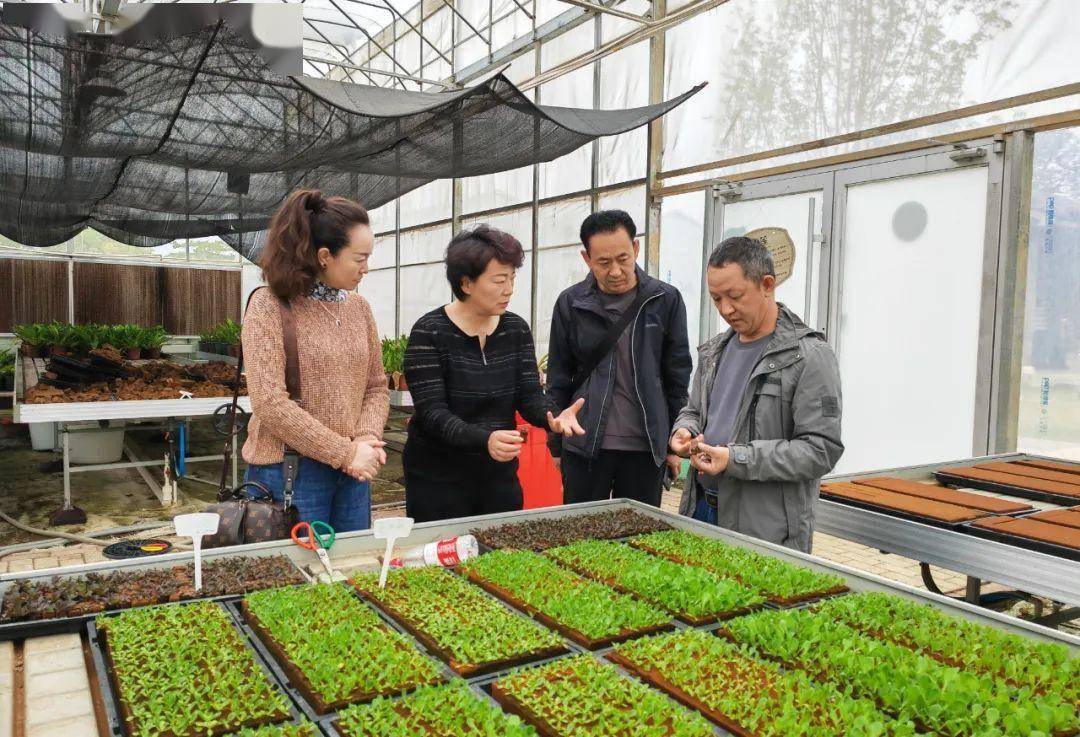 【县区新闻】张莉带队赴广州开展招商考察活动_企业_白银区_发展