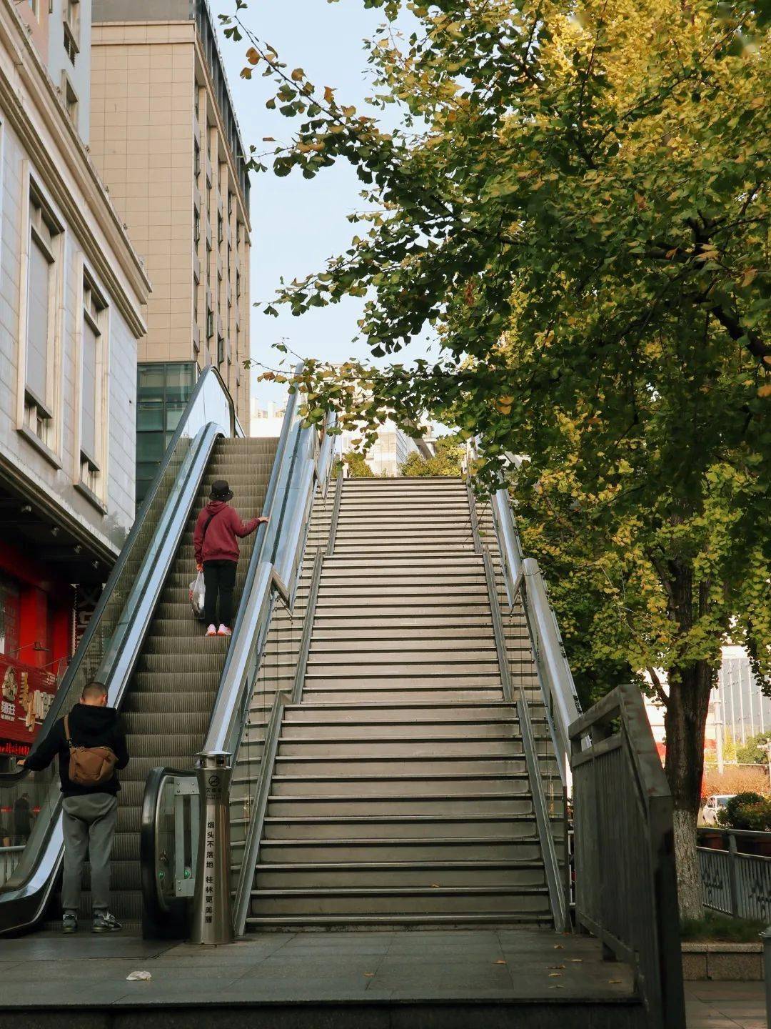 象山citywalk丨在西城路步行街感受初冬的暖阳_桂林_银杏_文化