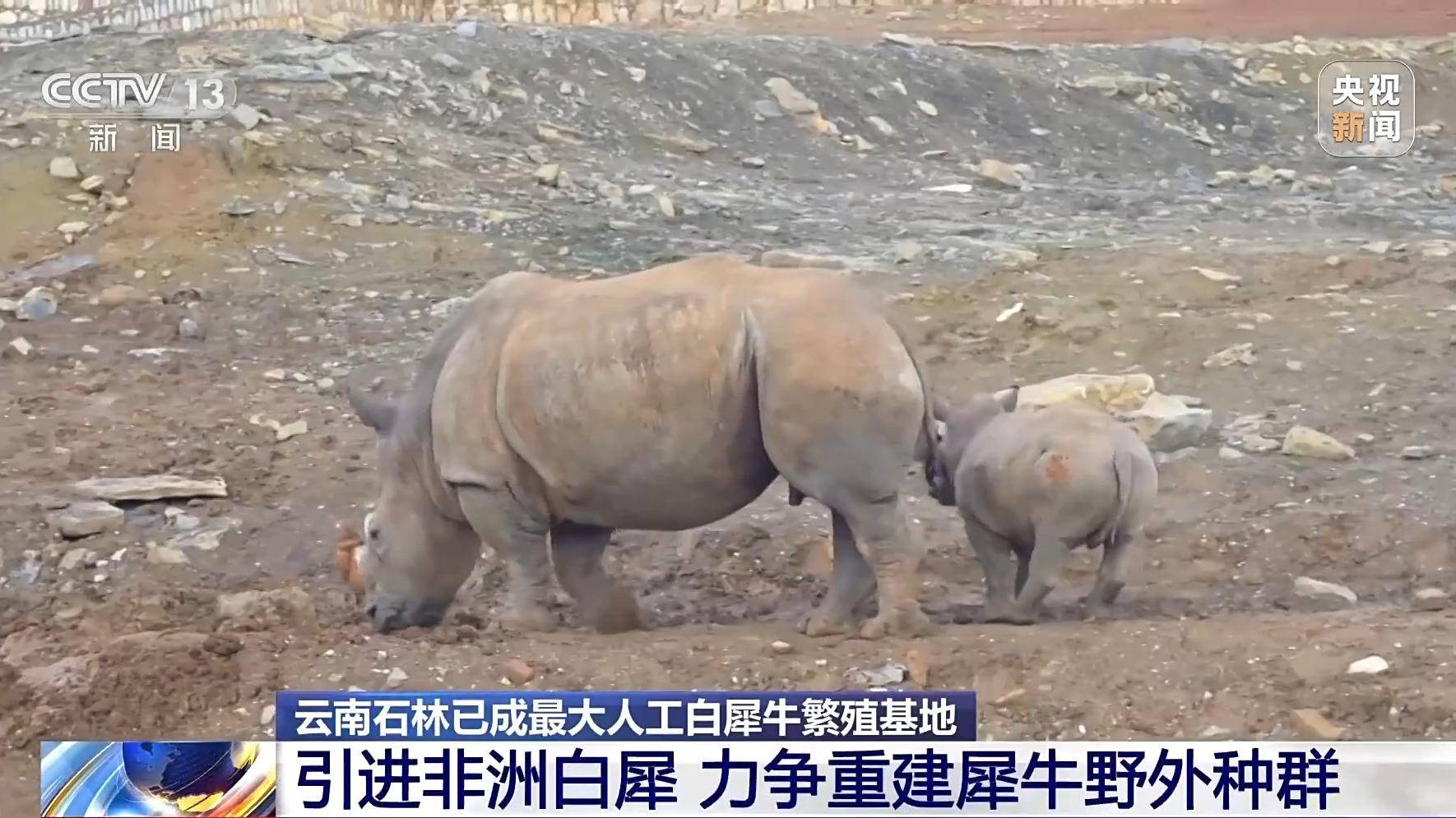 石林龙晖野生动物科