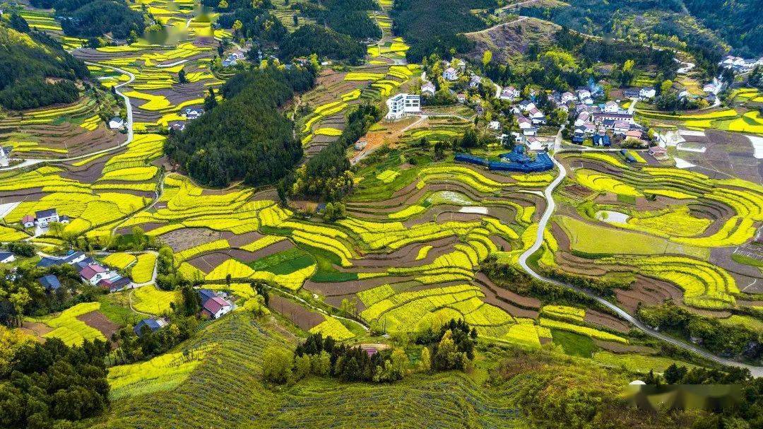 汉中这些地方上榜!速来围观 →_勉县_景区_文化