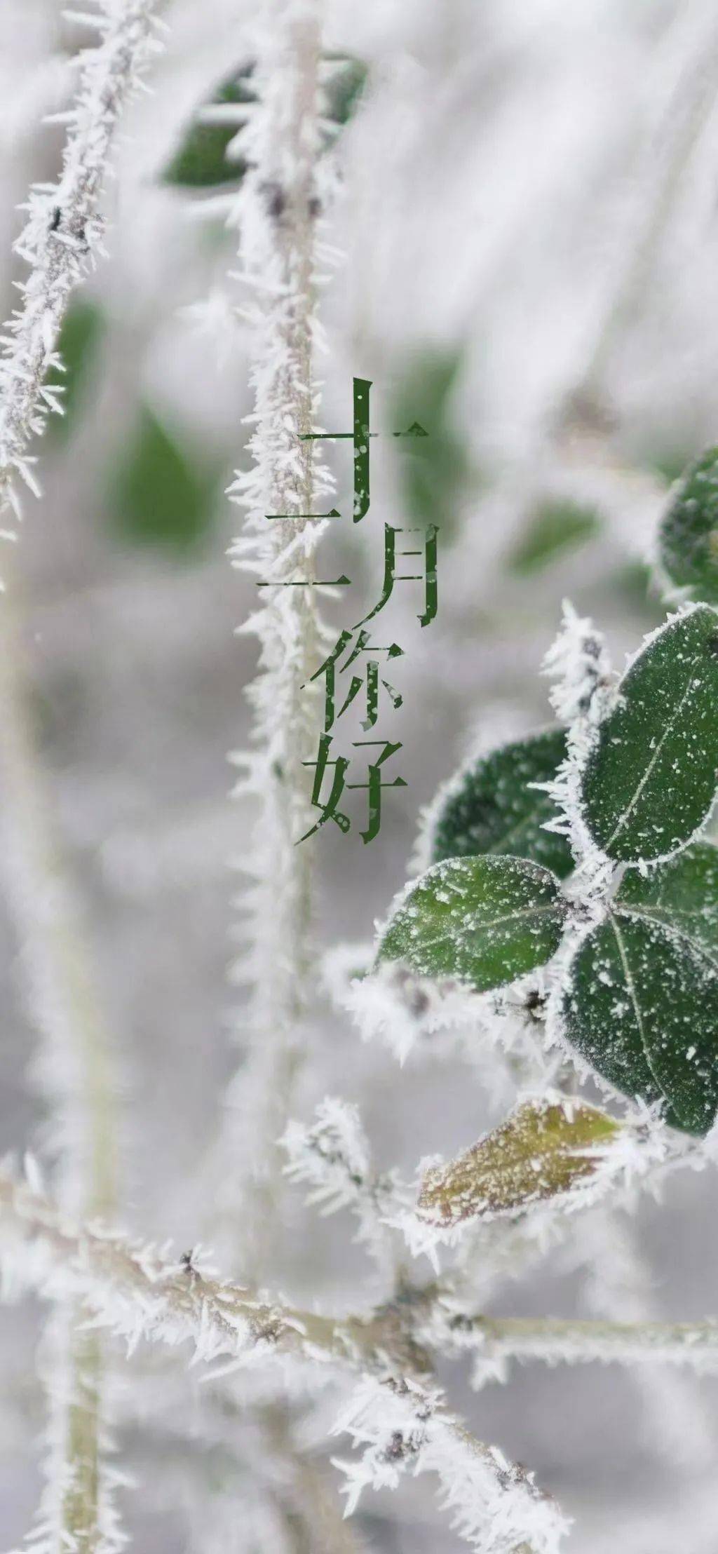 一个人_梦想_十二个月