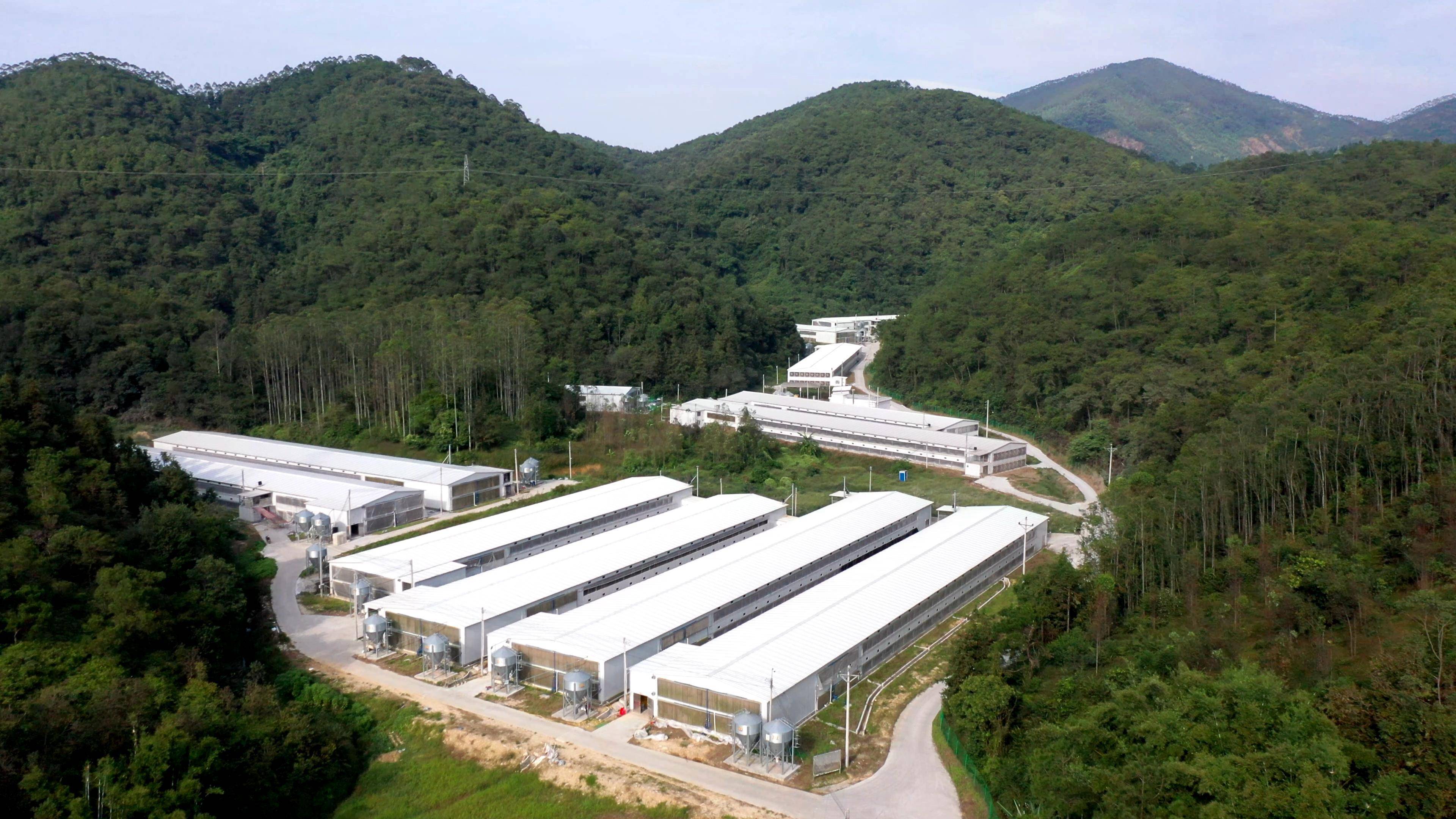 温氏股份扩大联农带农朋友圈,打造共富产业链