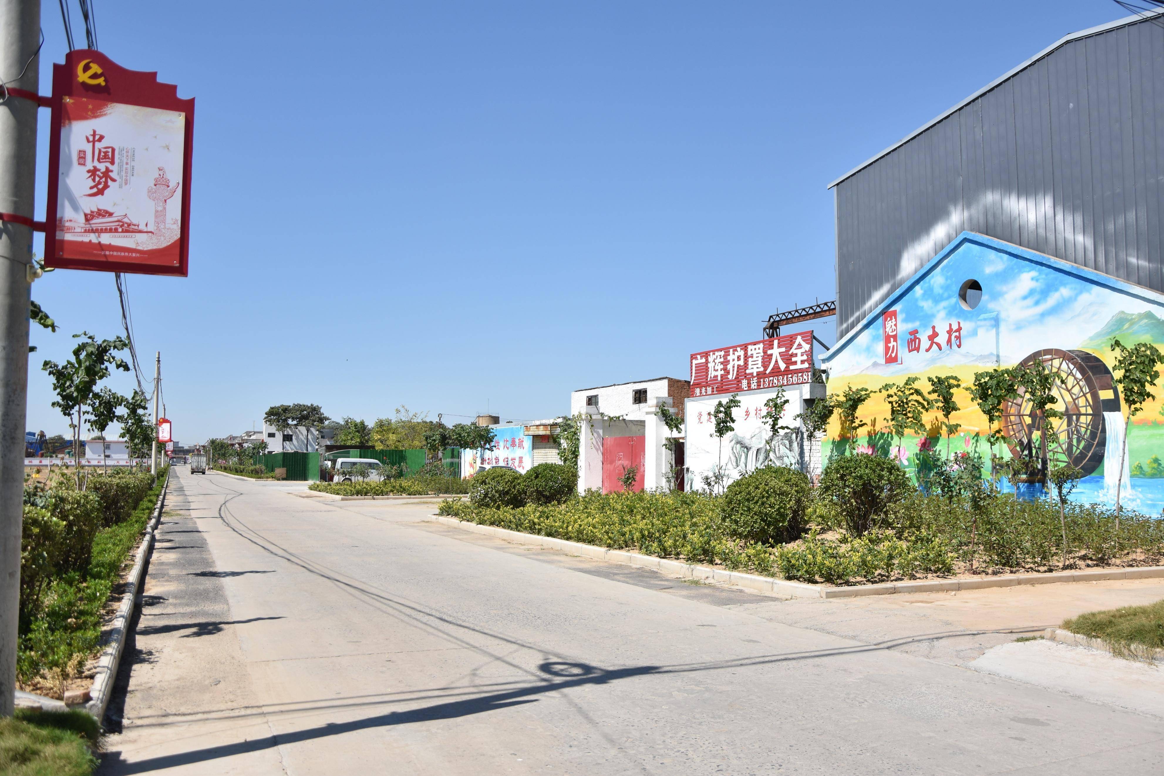 荥阳市王村镇西大村:擦亮"生态宜居星"塑造和美乡村新风貌_整治_群众