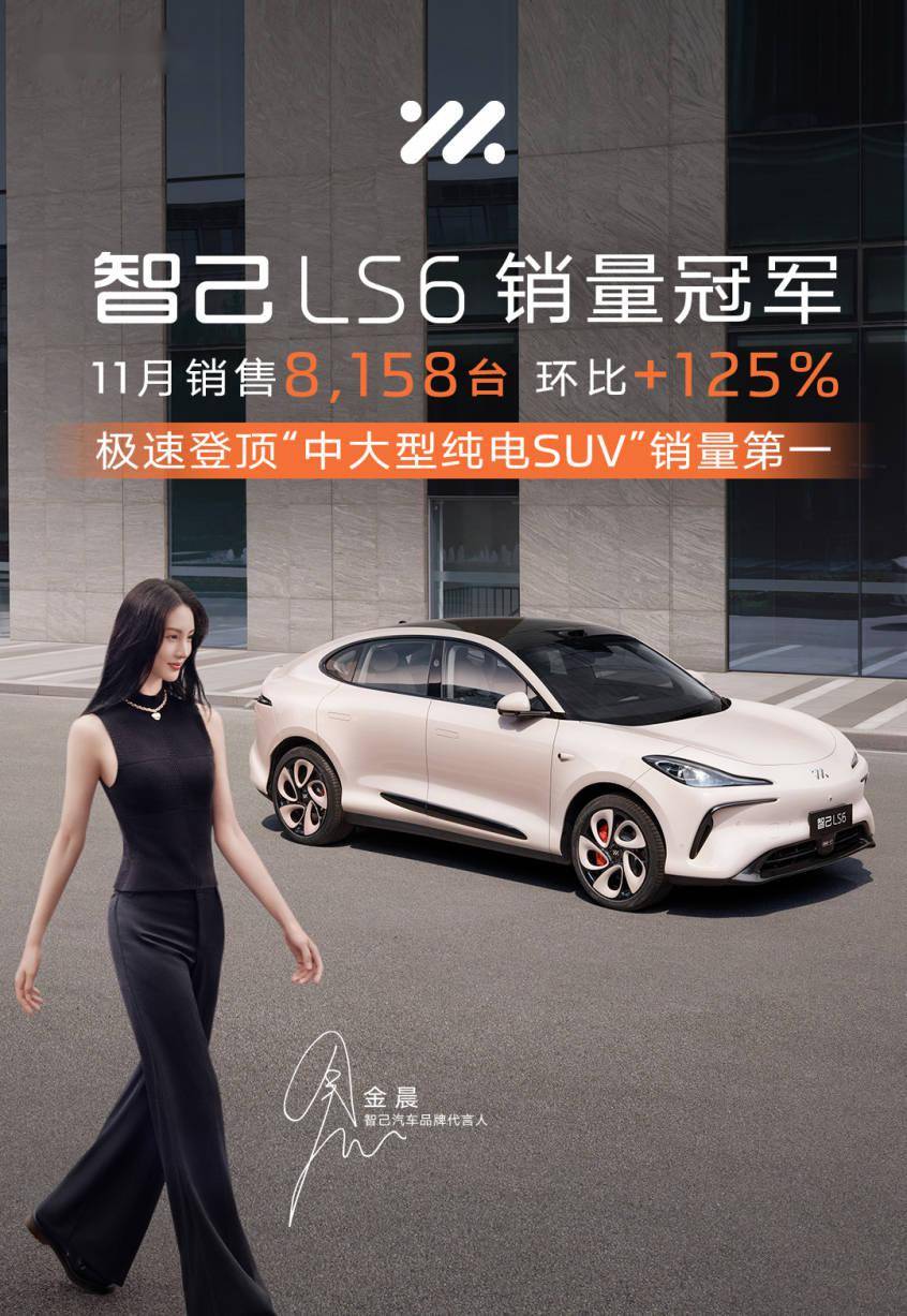 11月智己汽车销售8703台 LS6登顶“中大型纯电SUV”销冠_搜狐汽车_搜狐网