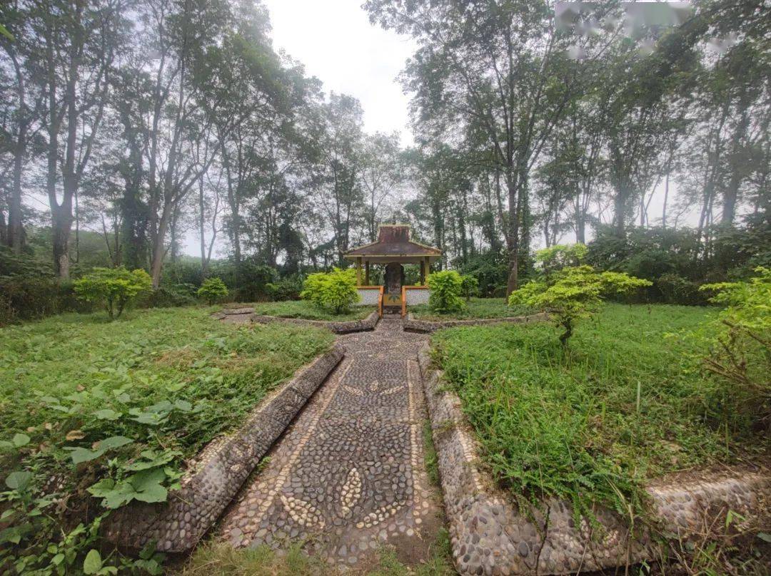 景洪市橄榄坝农场社区:讲好"版纳胶源"红色故事 进一步彰显基层侨务