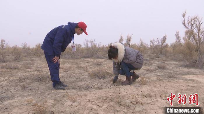 野生石麟图片