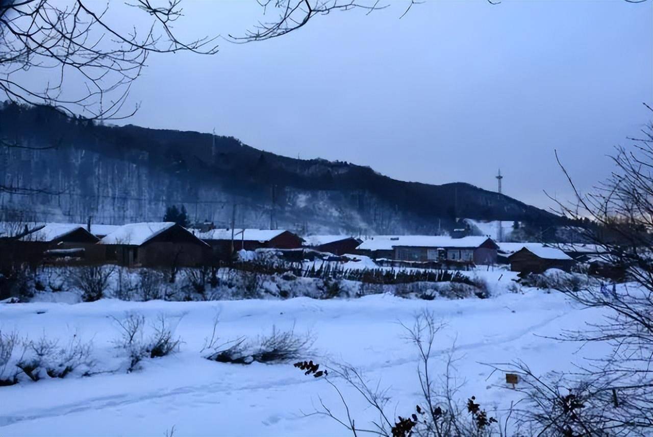 东北雪景最美的地方,约吗?_雪乡_双峰林场_黑龙江