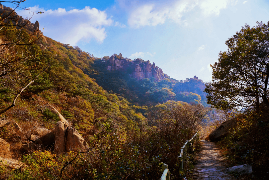 这个地方藏着海阳最美的初冬山景_招虎山_枫叶_世人
