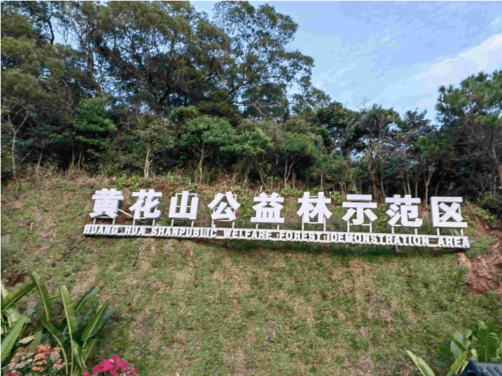 深圳南山在汕頭南澳深入推進文體旅遊,海洋牧場落實百千萬工程,推動