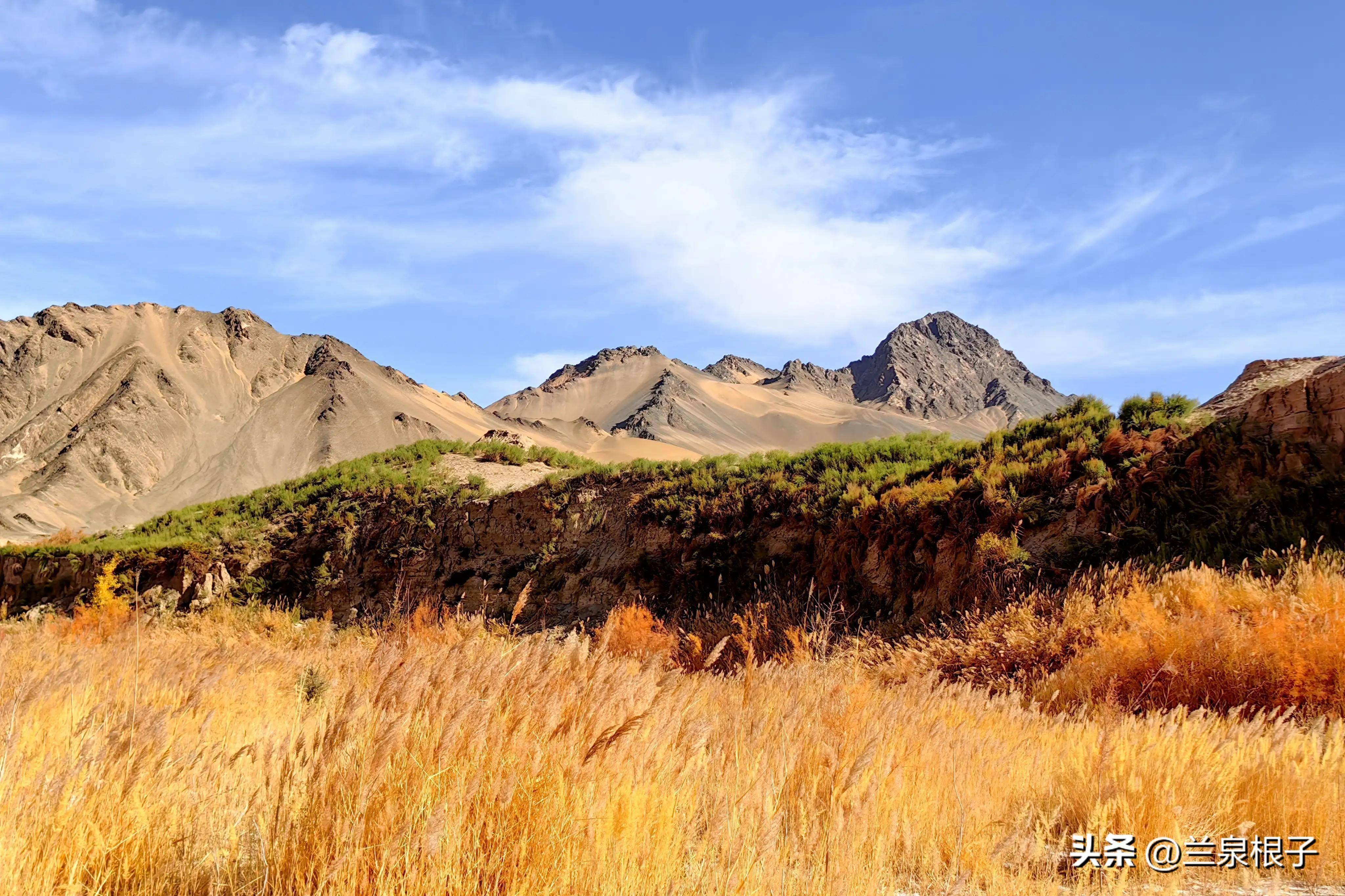 秋天的酒泉阿克塞多坝沟胡杨峡景区原生态风景美如画卷