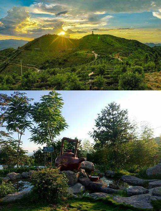 起『清水祈福 国心绿谷茶香有约』见证福建女排赛场风采12月2日/16日