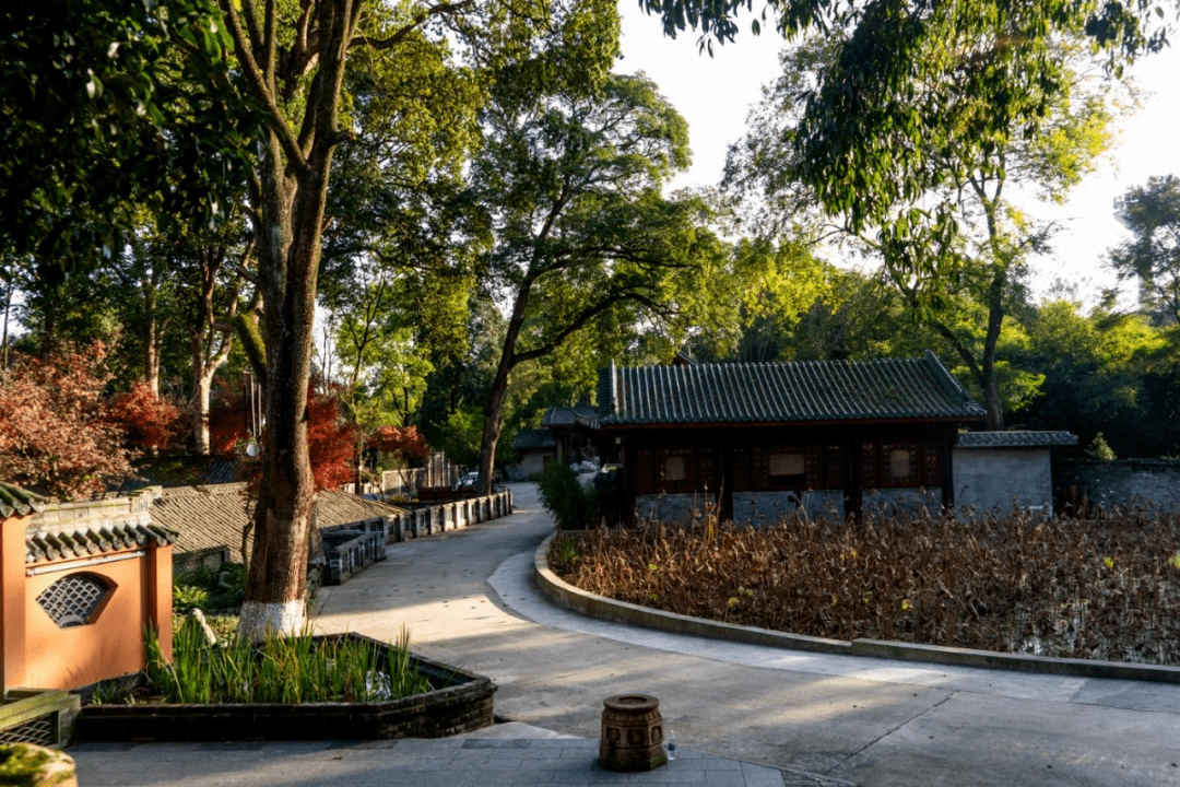 聆听邛崃丨漫步白鹤山_鹤林_人们_大雄宝殿