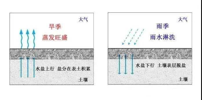 注意降水多的地区一般不会有盐碱化,比如我国南方地区;(2)蒸发旺盛旺