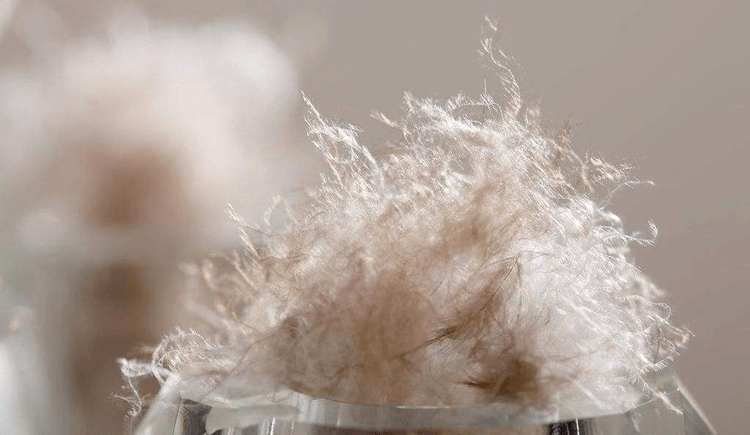 衡量一件羽绒服是否保暖,应重点关注羽绒服的吊牌,水洗标,上面标注了