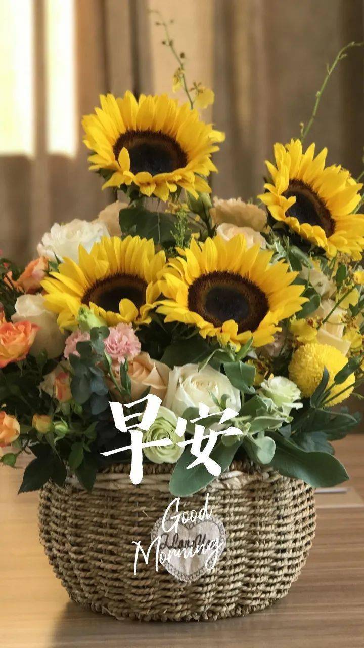 美好的一天正式开始了!