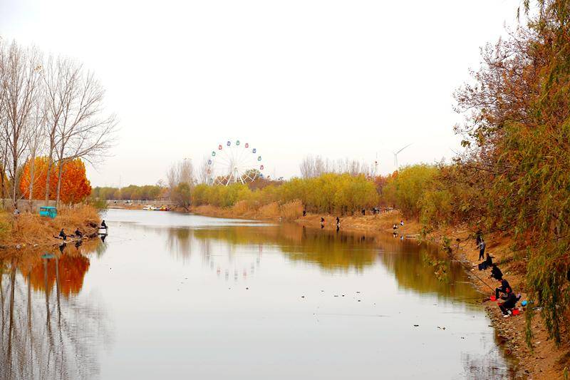 河南宁陵:大沙河冬景美如画_宁陵县_生态_刘梦珂