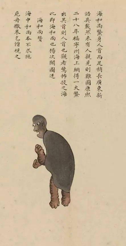 《海错图》的作者聂璜,杭州人士,他游历了今河北,天津,浙江,福建等多