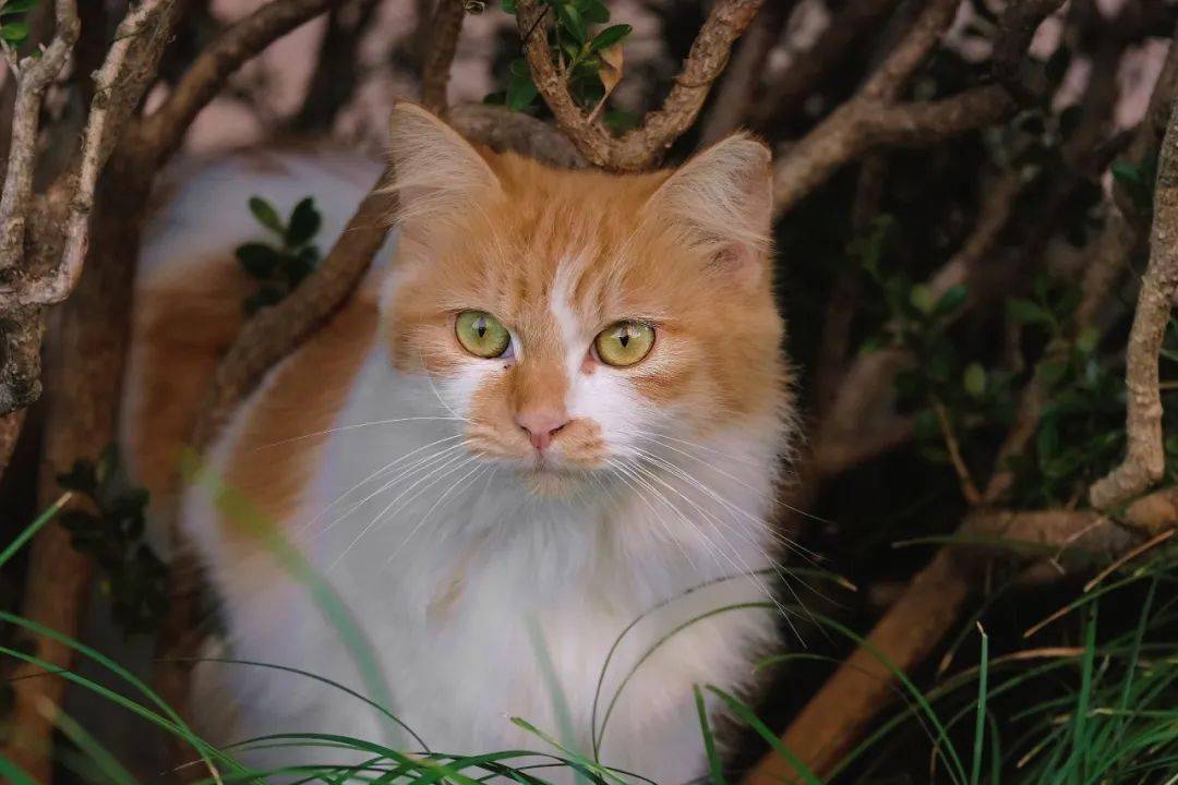 2023时光胶囊|旧岁将末,寄语sufe_校园_毕业_记忆