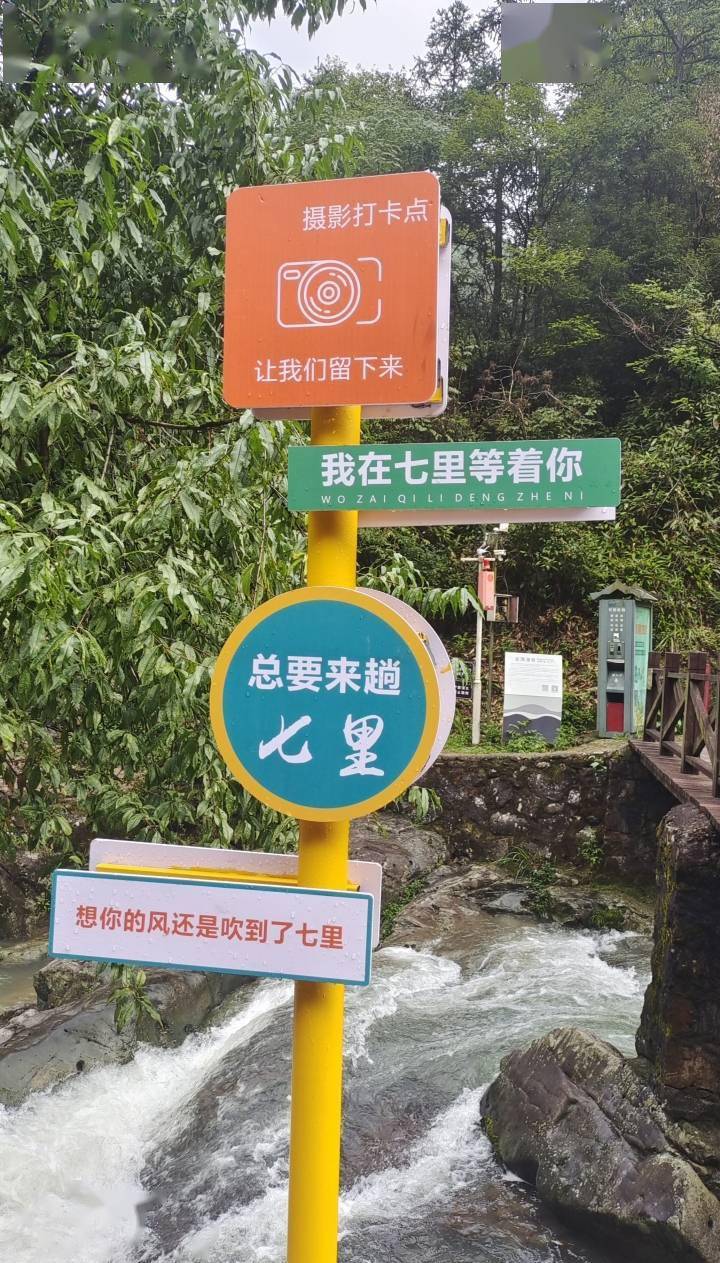 几百家民宿一床难求！衢州七里乡开云体育 开云官网桃源村为什么火？(图4)